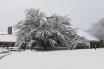 snowfront